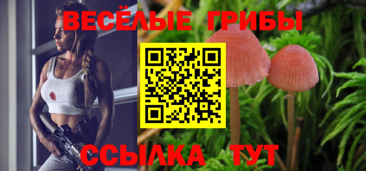 где найти   Вход с VPN  Набережные Челны  Галлюциногенные грибы GOLDEN TEACHER 